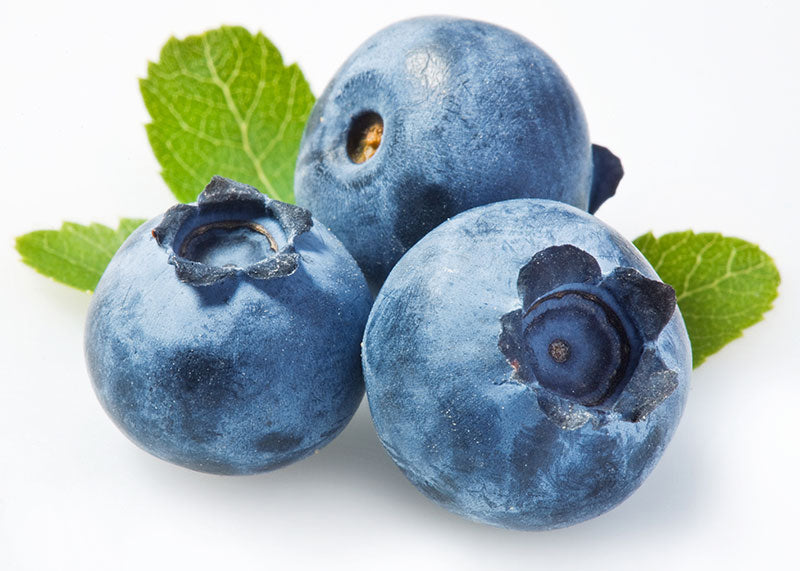 Pure Wild Blueberry Powder - 100% Natural - Organic